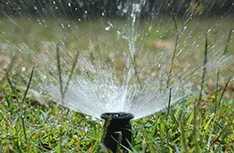 Top-rated lawn mowing service for homes across Gainesville, TX - Swafford's Landscape