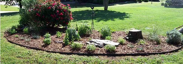 Top-rated yard maintenance for residential properties in Gainesville, TX by Swafford's Landscape