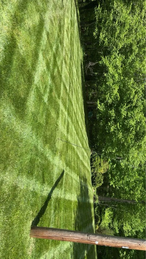 Expert lawn mowing service experts serving Thurmond, NC - Swaims Lawncare