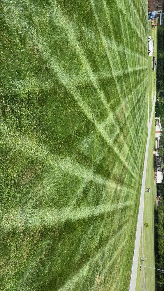 Top-rated yard maintenance for year-round maintenance across Thurmond, NC - Swaims Lawncare