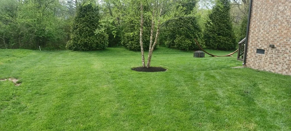 Trusted landscape design in Mt. Juliet, TN by Swain Landscape Design