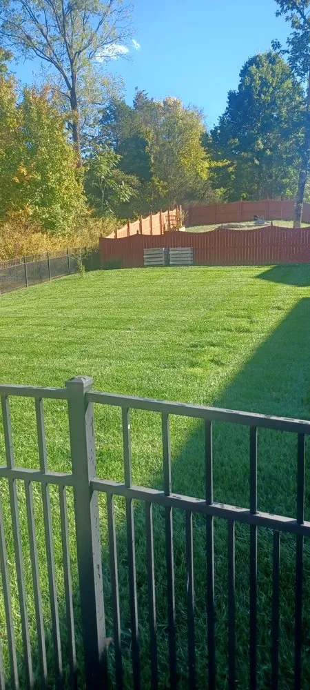 Affordable yard cleanup service for beautiful yards across Mt. Juliet, TN - Swain Landscape Design