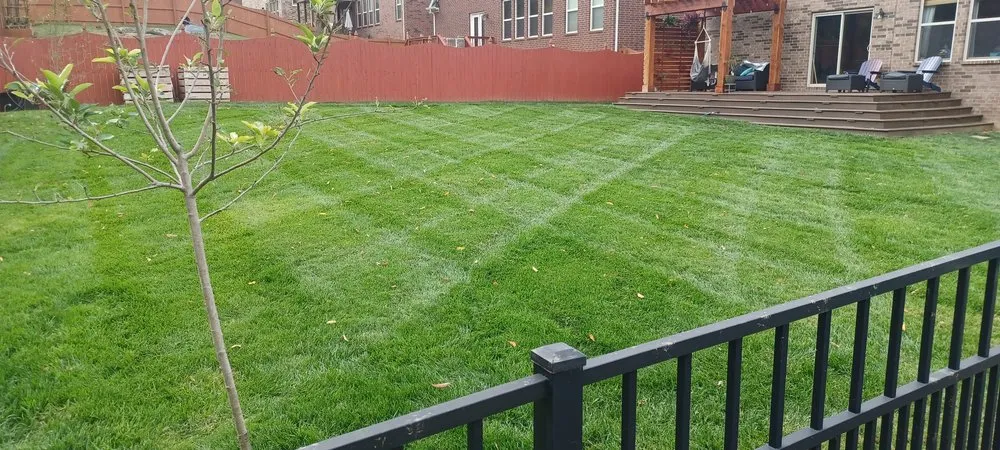 Custom outdoor landscaping in Mt. Juliet, TN by Swain Landscape Design