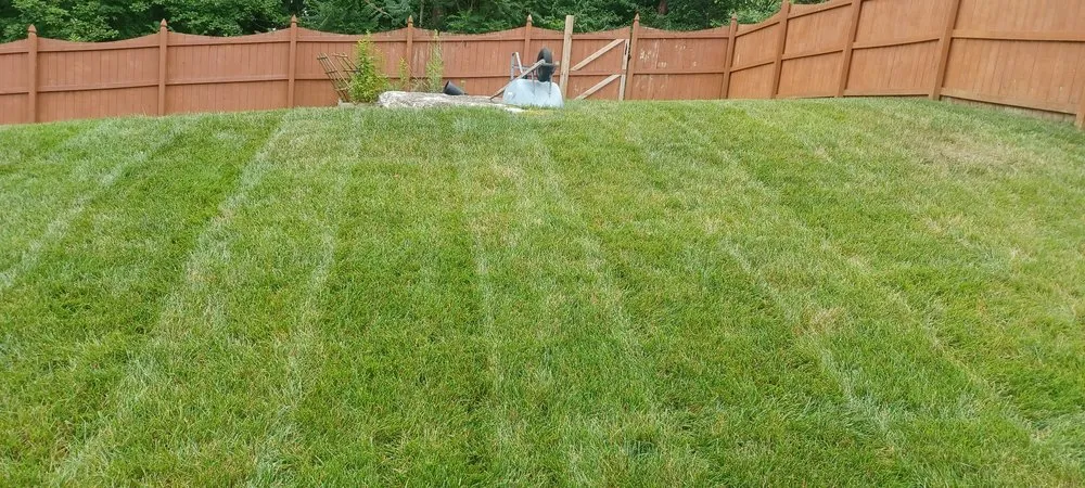 Affordable yard maintenance for outdoor upgrades across Mt. Juliet, TN - Swain Landscape Design