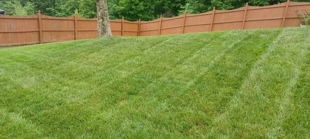 Local landscape installation experts serving Mt. Juliet, TN - Swain Landscape Design