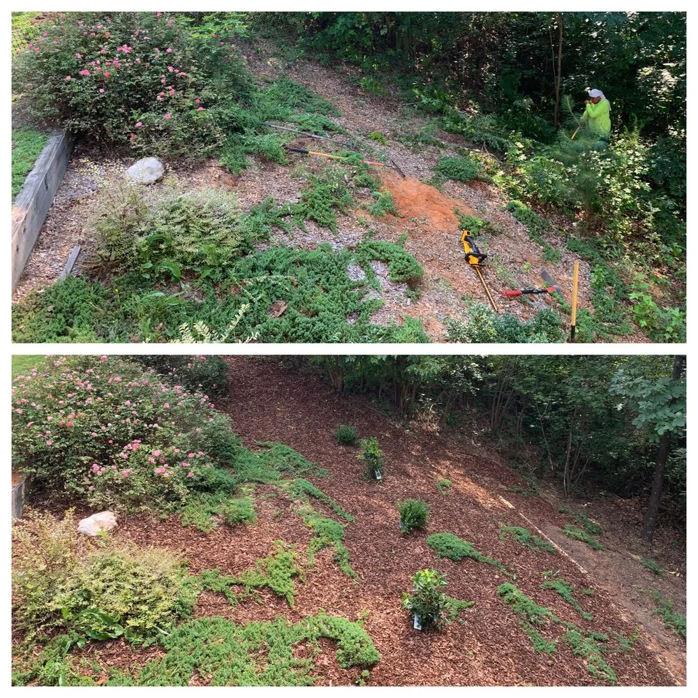 Local garden landscaping for residential properties across Aberdeen, NC - Swamp Builders