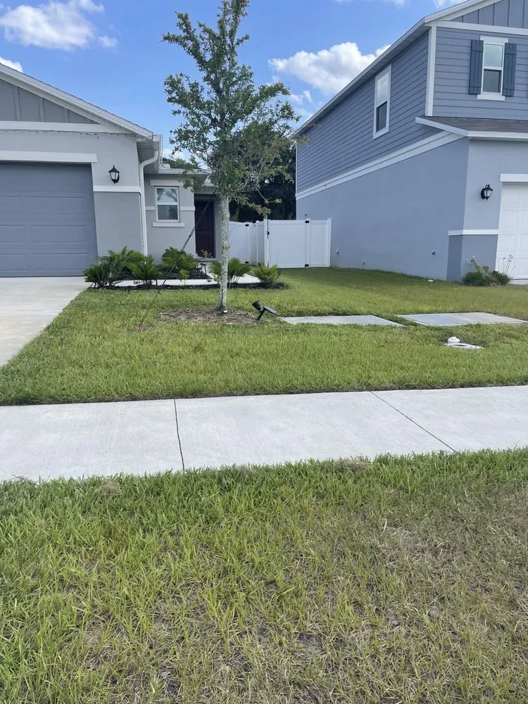 Professional landscape installation in Davenport, FL by Swamp Dog Landscpaing