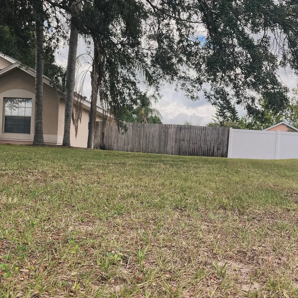 Trusted yard maintenance near you across Davenport, FL - Swamp Dog Landscpaing