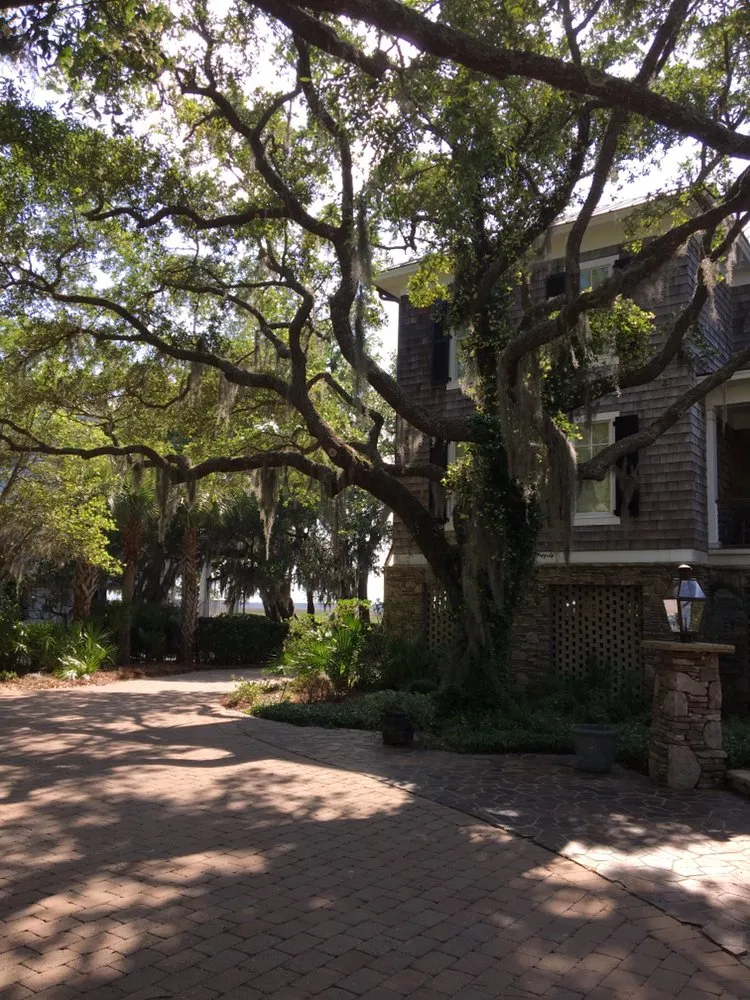 Top-rated yard cleanup service in Wharton, TX - Swamp Fox Construction & Landscape Management