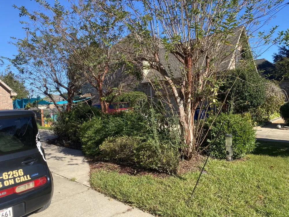 Expert yard cleanup service in Baton Rouge, LA - Swamp Grass Lawn and Maintenance