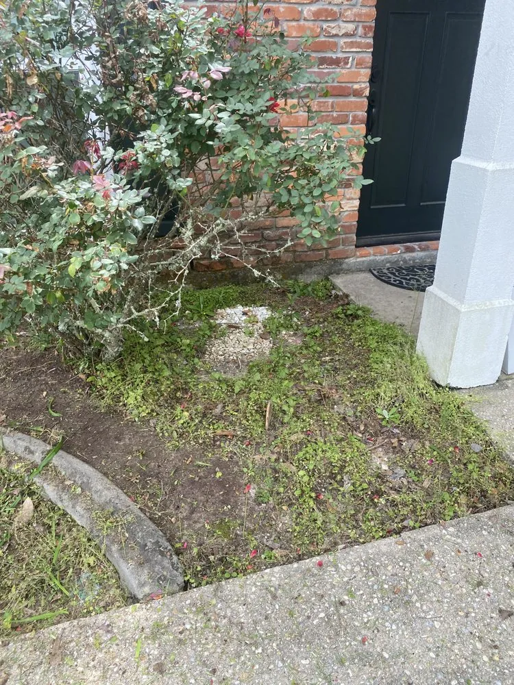 Expert landscape installation for beautiful yards in Baton Rouge, LA by Swamp Grass Lawn and Maintenance