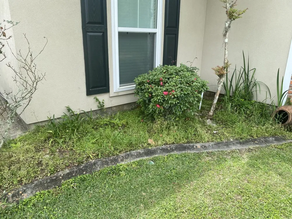 Local landscape design in Baton Rouge, LA by Swamp Grass Lawn and Maintenance