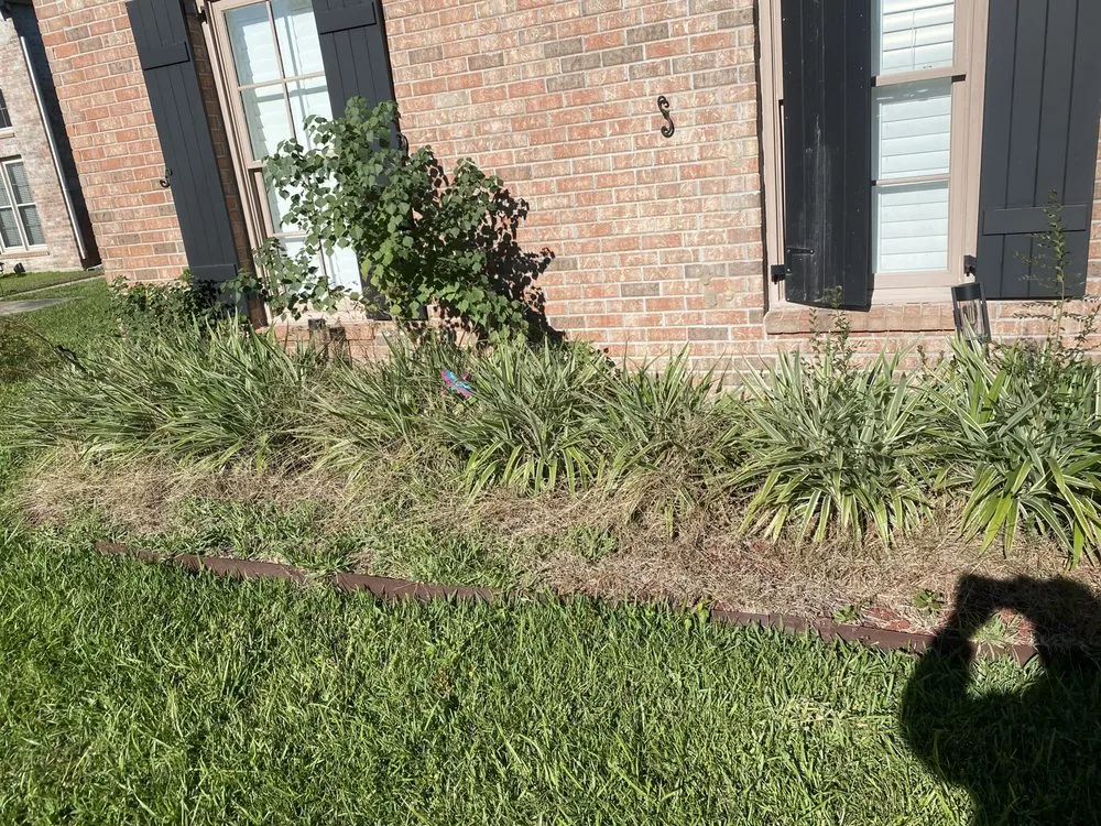 Top-rated lawn care service in Baton Rouge, LA by Swamp Grass Lawn and Maintenance