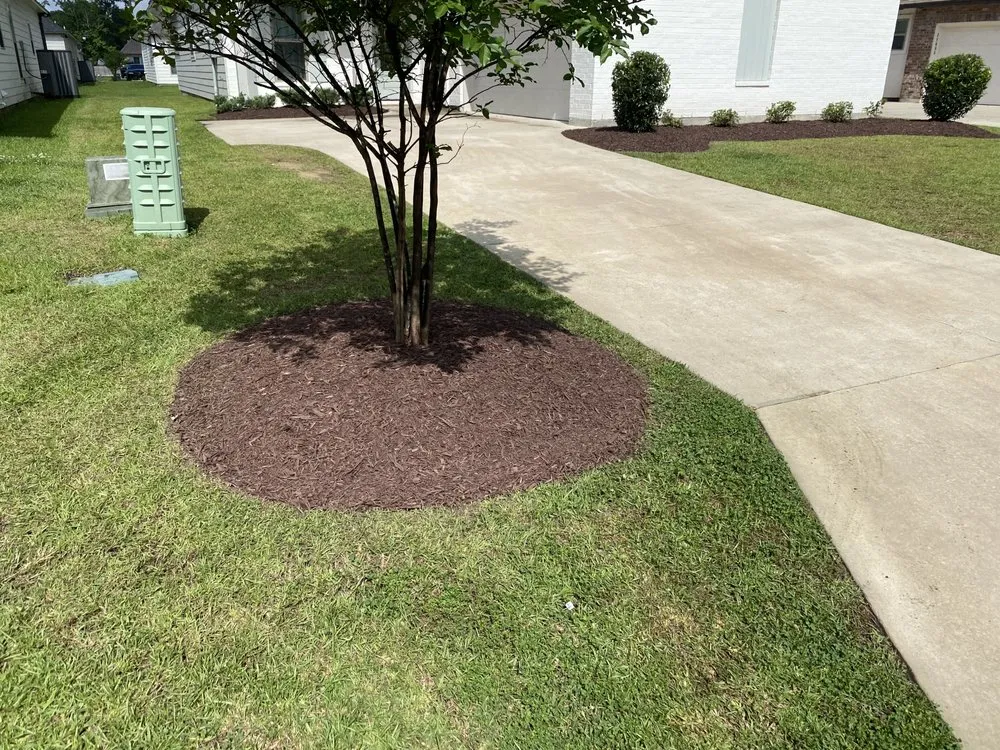 Reliable yard maintenance for outdoor upgrades in Baton Rouge, LA by Swamp Grass Lawn and Maintenance