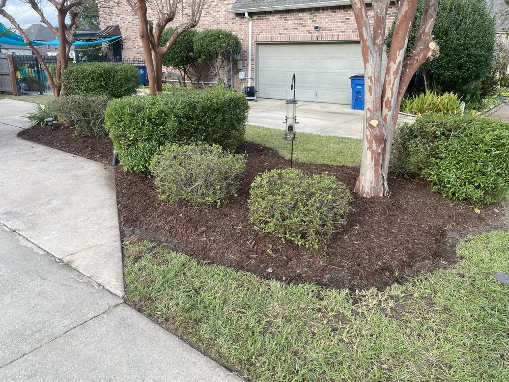 Top-rated yard maintenance experts serving Baton Rouge, LA - Swamp Grass Lawn and Maintenance