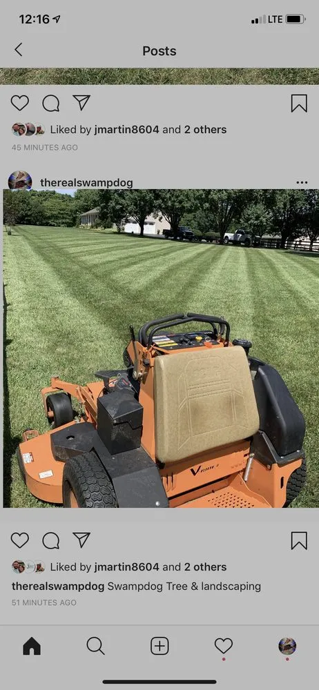 Reliable garden landscaping for outdoor upgrades in Orange, VA by SwampDog’s Tree & Landscaping Services