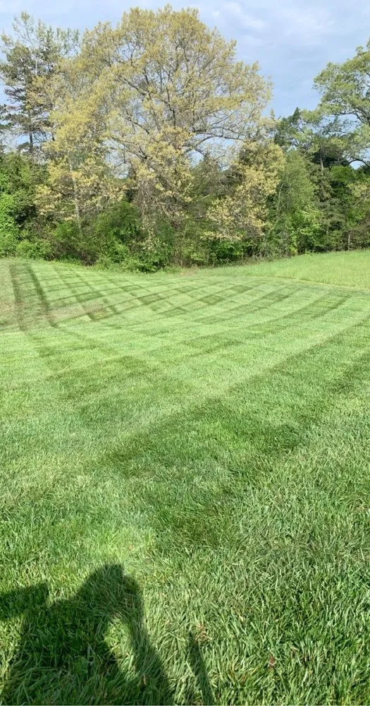 Professional lawn mowing service in Orange, VA - SwampDog’s Tree & Landscaping Services