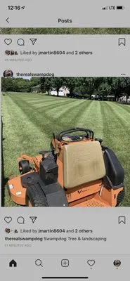 SwampDog’s Tree & Landscaping Services Logo