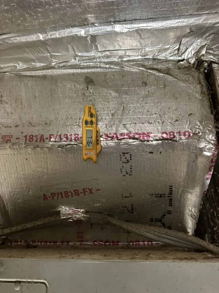 Trusted landscape design in Gainesville, FL - Swampland Handyman