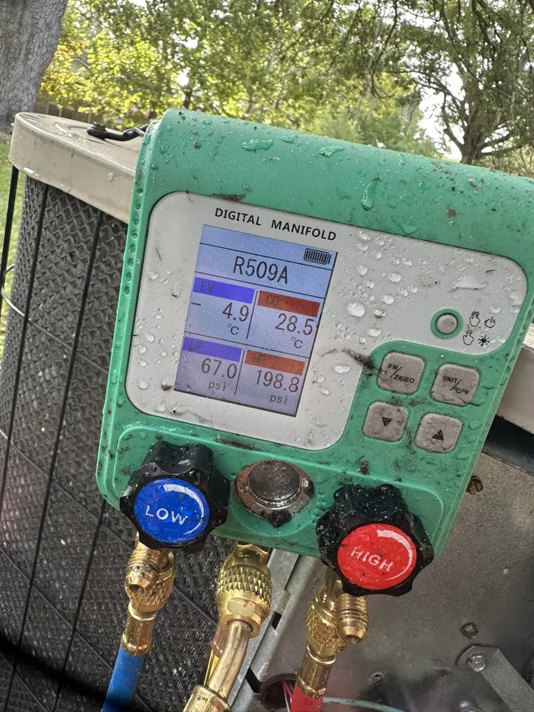 Professional yard cleanup service in Gainesville, FL by Swampland Handyman