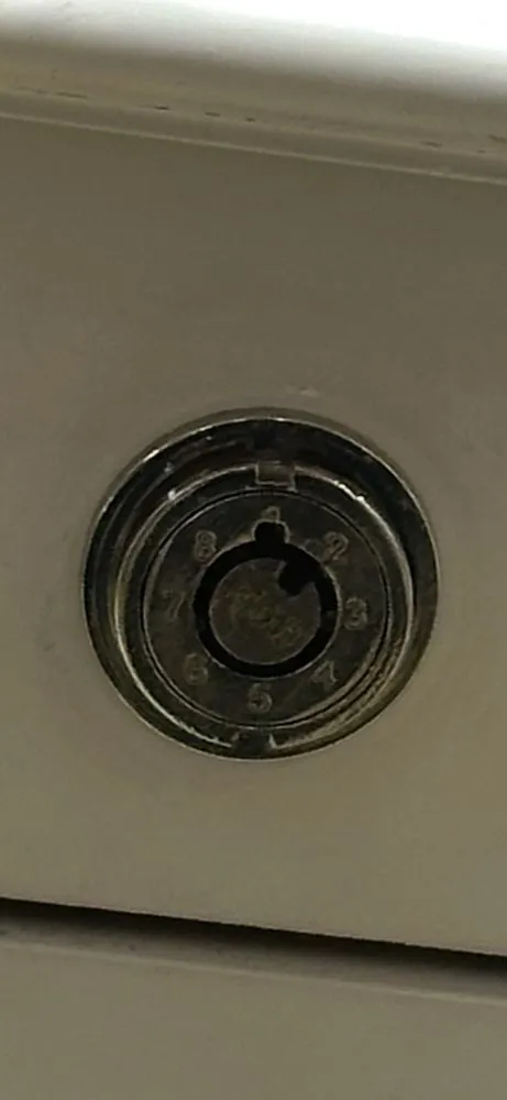 Professional lawn care service for homes across Gainesville, FL - Swampland Handyman