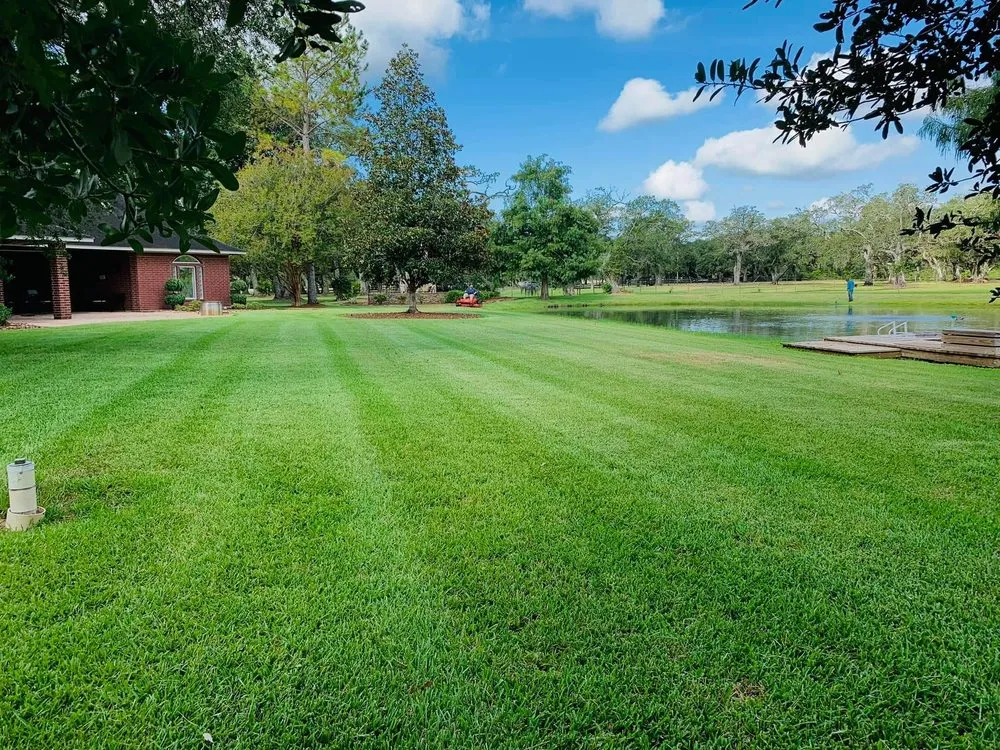 Custom yard cleanup service in Brazoria, TX by Swangos lawn and landscaping