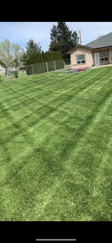 Local yard cleanup service with custom design across Pasco, WA - Swanky Lawn Care