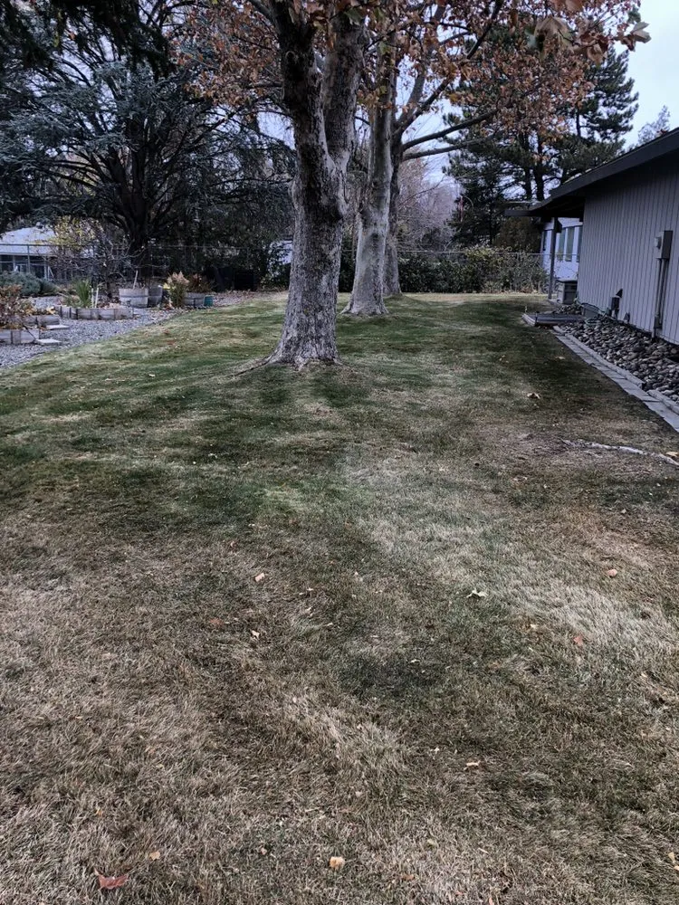 Top-rated yard cleanup service for beautiful yards across Pasco, WA - Swanky Lawn Care