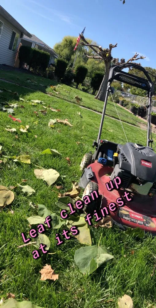 Custom lawn care service in Pasco, WA by Swanky Lawn Care