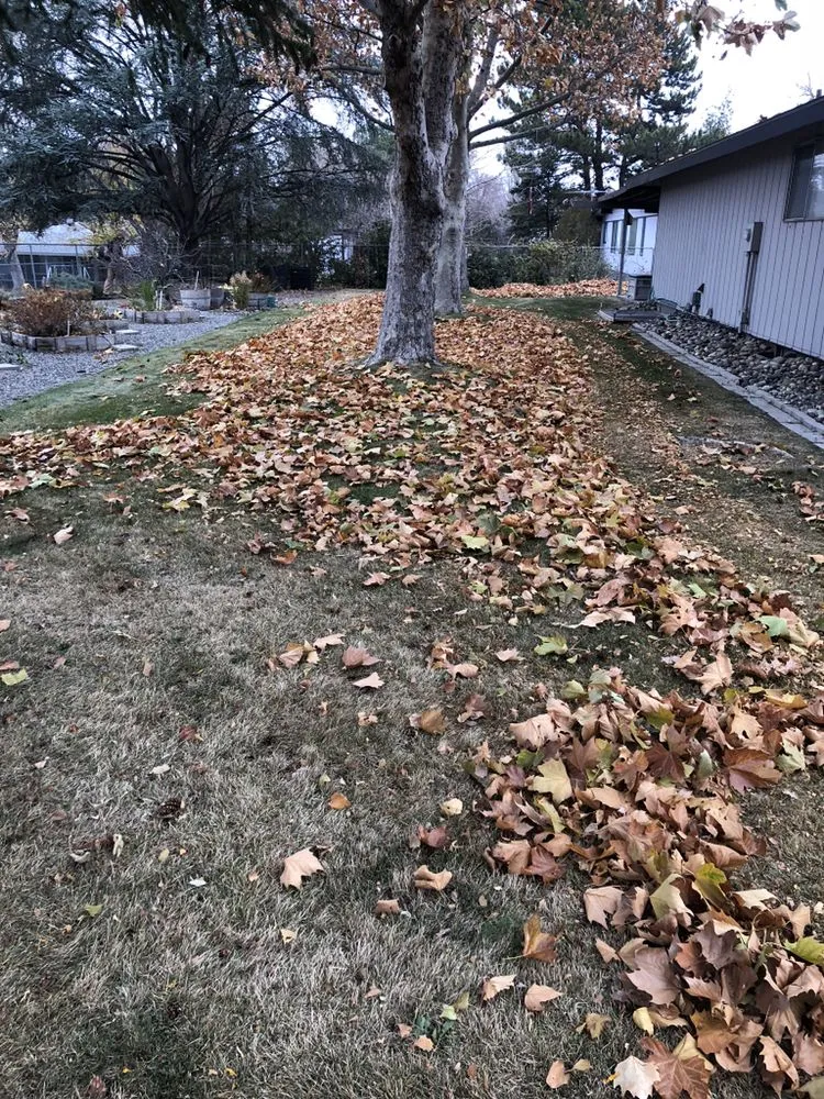 Reliable outdoor landscaping near you in Pasco, WA by Swanky Lawn Care