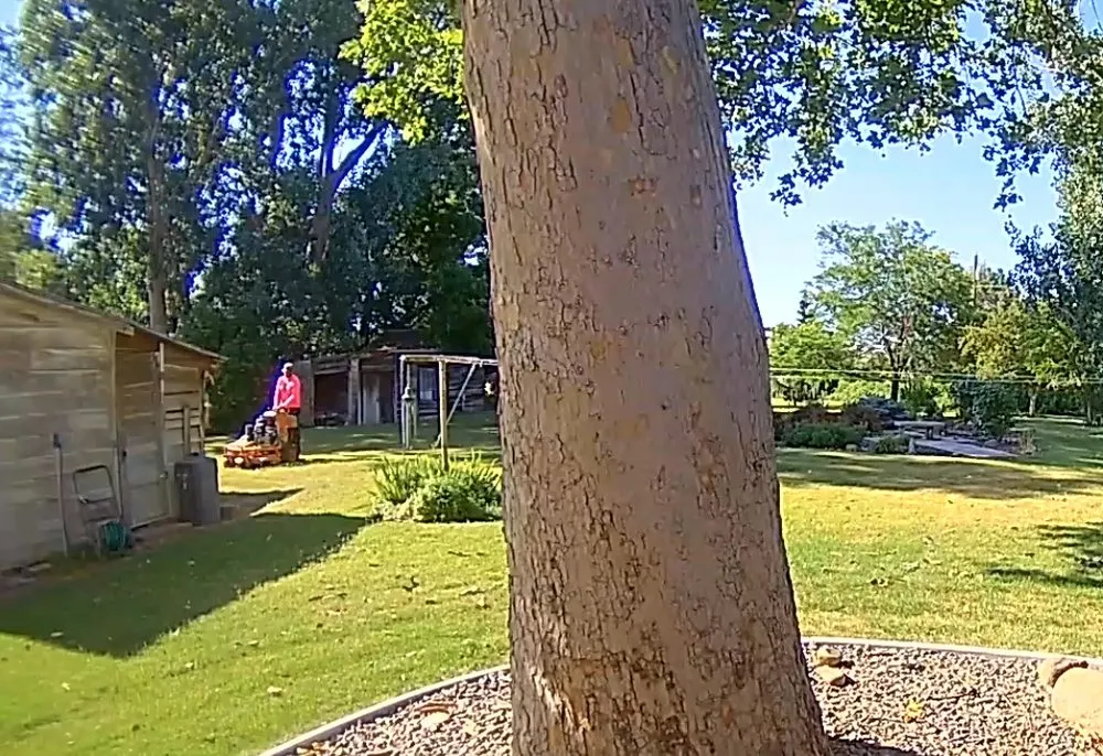 Trusted lawn mowing service with custom design in Pasco, WA by Swanky Lawn Care