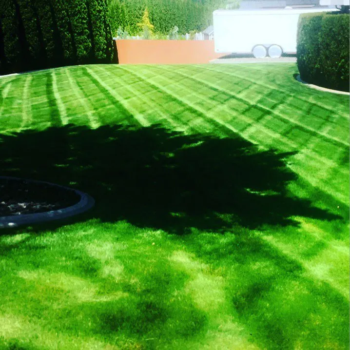 Local residential landscaping near you in Pasco, WA by Swanky Lawn Care