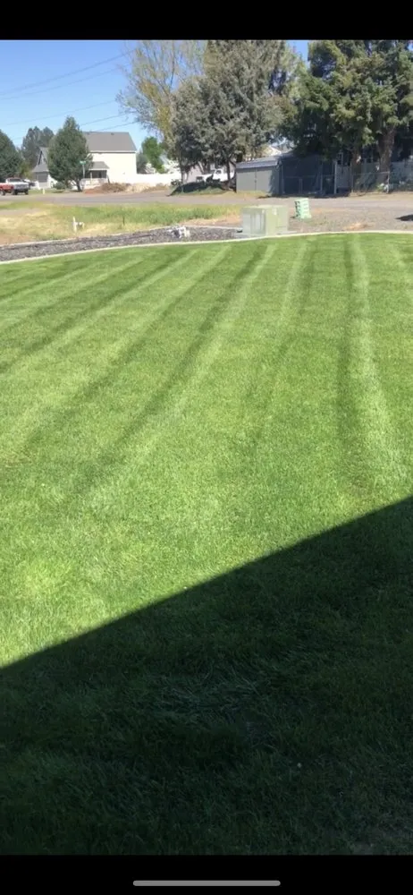 Top-rated lawn care service with custom design in Pasco, WA by Swanky Lawn Care