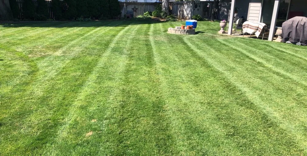 Expert landscaping services in Pasco, WA by Swanky Lawn Care
