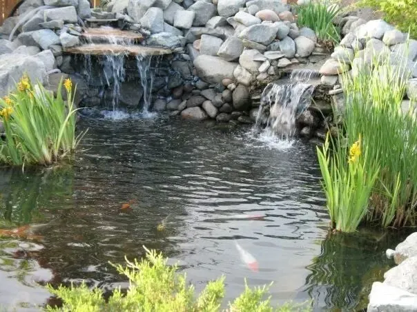 Top-rated landscape design experts serving Carson City, NV - Swannsponds.com