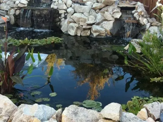 Custom yard maintenance for residential properties across Carson City, NV - Swannsponds.com