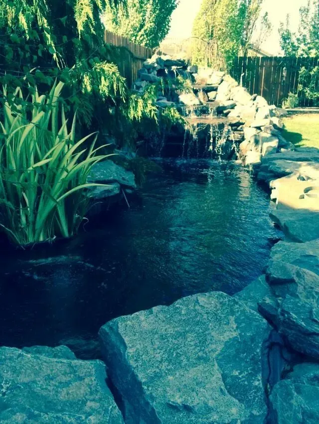 Custom garden landscaping for residential properties in Carson City, NV by Swannsponds.com