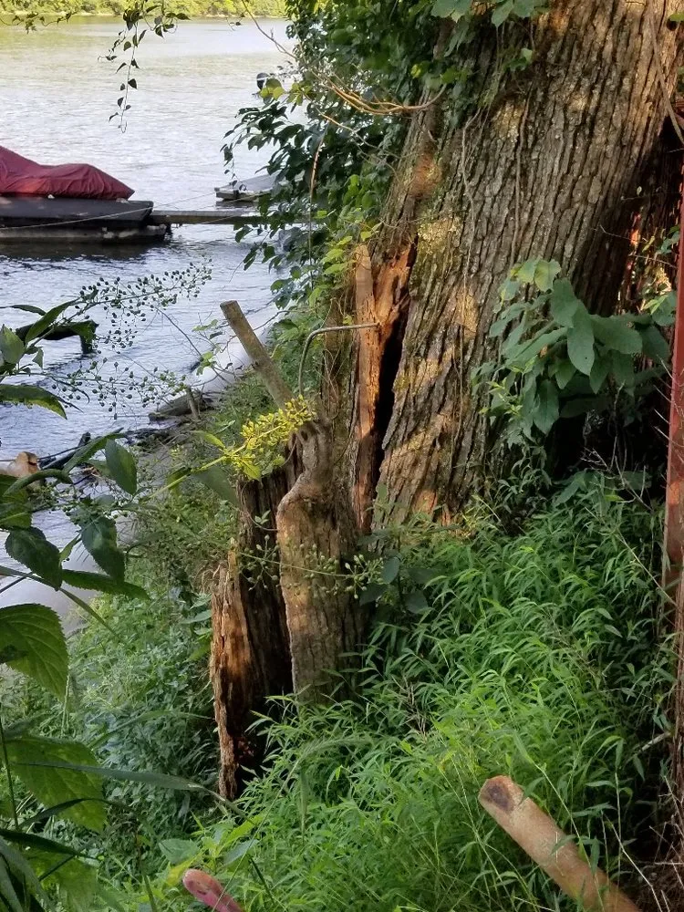 Trusted landscape installation in Martinsburg, WV - Swan's Landscaping