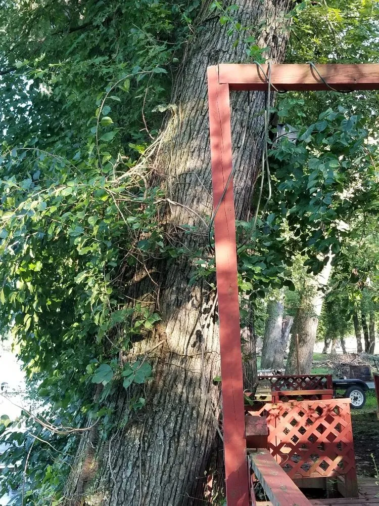 Top-rated yard maintenance for beautiful yards in Martinsburg, WV by Swan's Landscaping