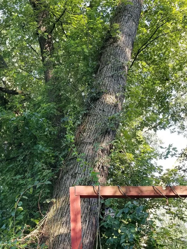 Professional garden landscaping in Martinsburg, WV - Swan's Landscaping