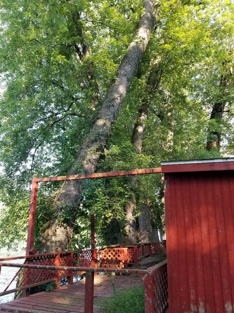 Local yard cleanup service in Martinsburg, WV by Swan's Landscaping