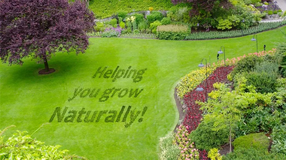 Expert yard cleanup service for year-round maintenance across Longview, WA - Swanson Bark & Wood Products