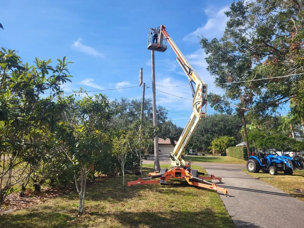 Local yard cleanup service in Tampa, FL by Swanson's Landscape Services