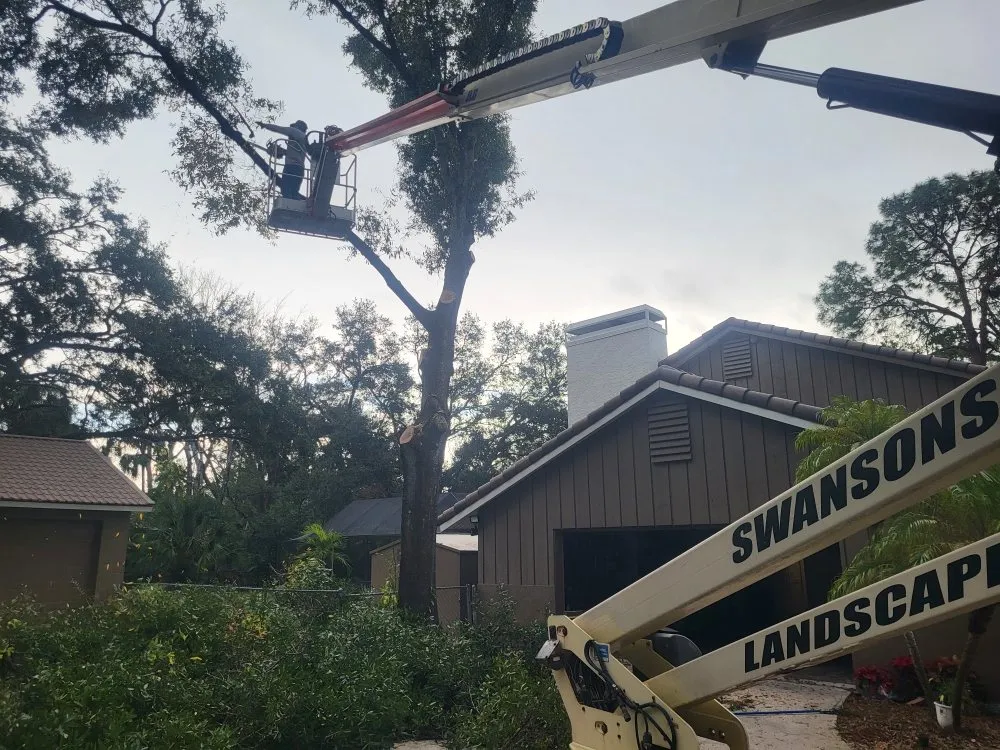 Local landscape design experts serving Tampa, FL - Swanson's Landscape Services