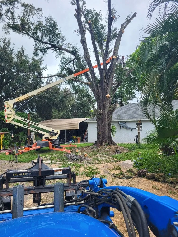 Top-rated lawn care service near you in Tampa, FL by Swanson's Landscape Services