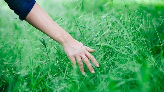Custom garden landscaping for beautiful yards across Mc Veytown, PA - Swarey's TLC Yard Services