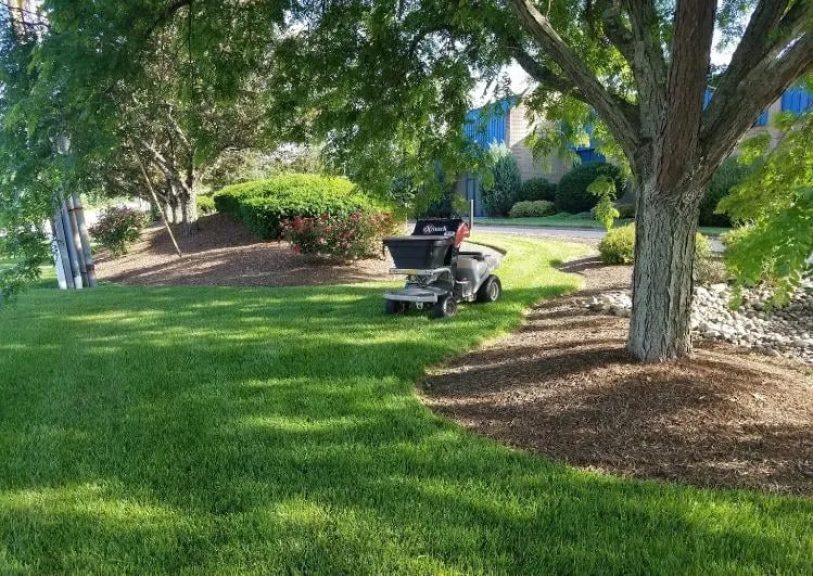 Local yard maintenance for homes in Mc Veytown, PA by Swarey's TLC Yard Services