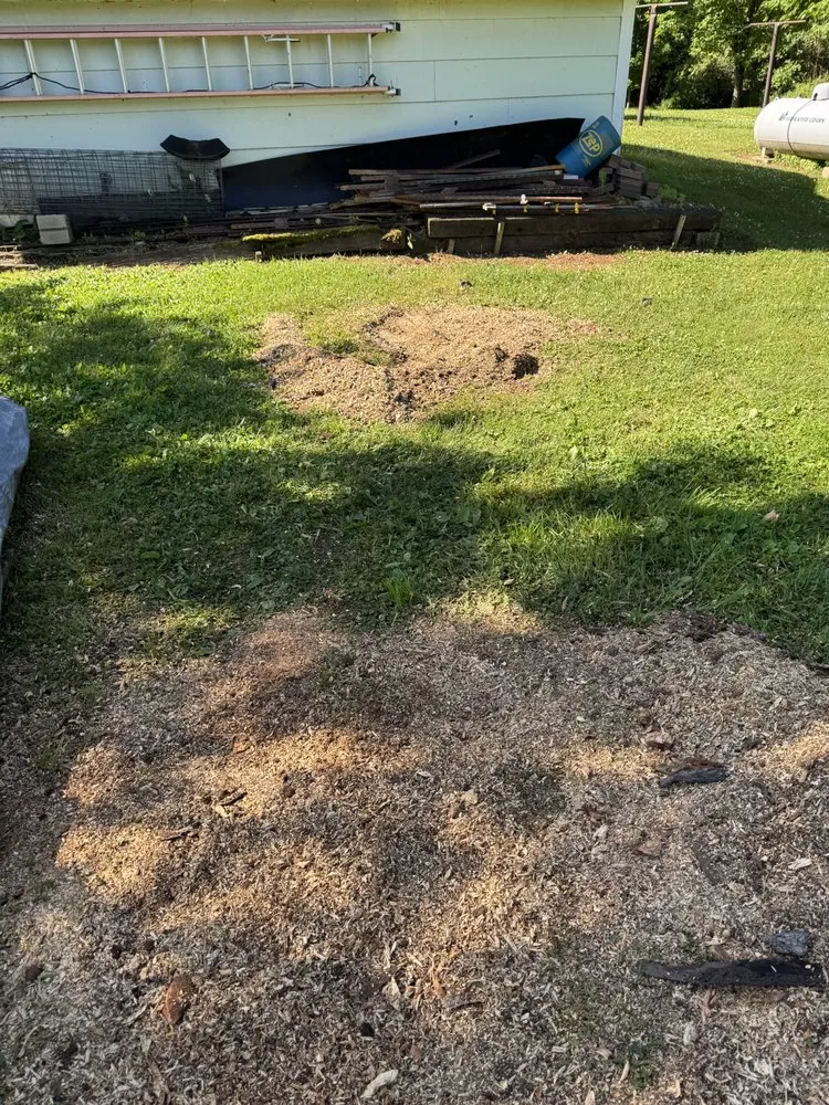 Expert landscaping services for residential properties in Baxter, MN by Swartout Landscaping