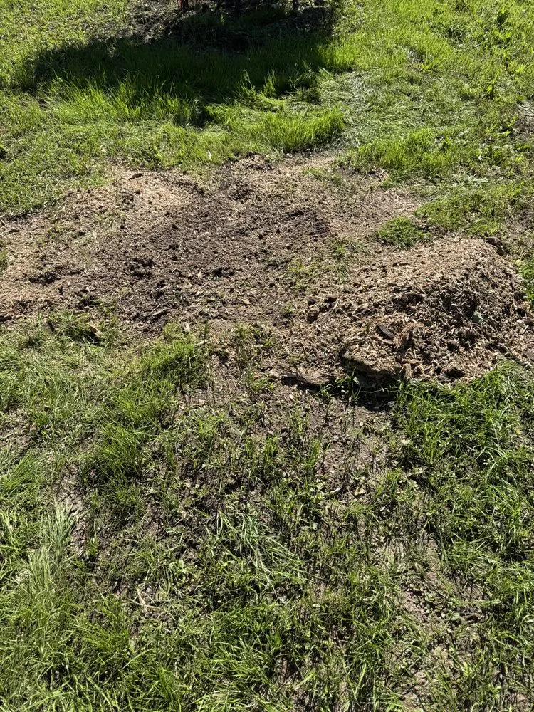 Top-rated garden landscaping in Baxter, MN - Swartout Landscaping