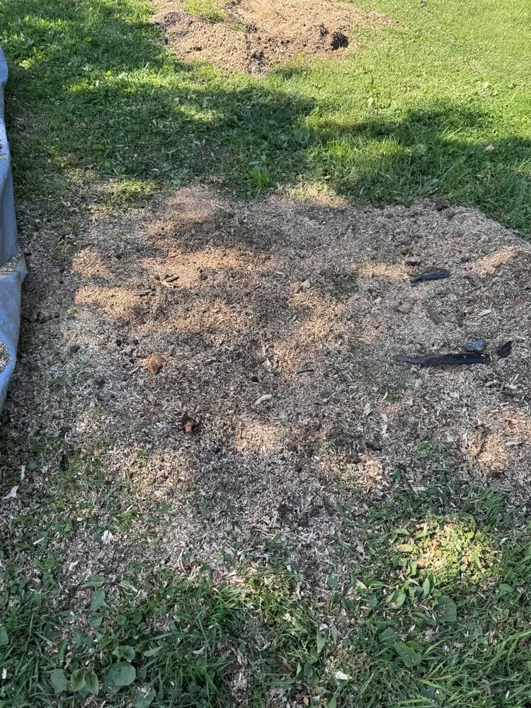 Professional landscape design for year-round maintenance across Baxter, MN - Swartout Landscaping